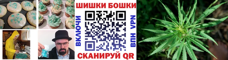 Купить где Каменка Canna-Cookies конопля