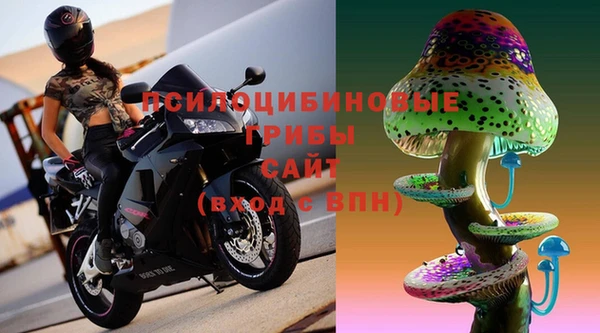 крисы Кукмор